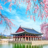 Du lịch Hàn Quốc Tết Dương lịch - Seoul - Lotte World từ Sài Gòn 2024